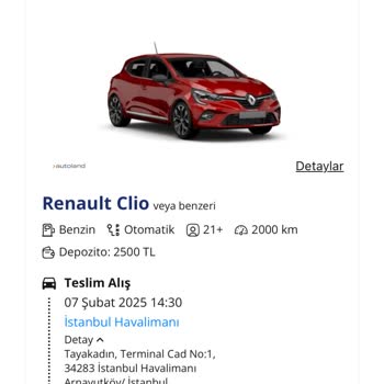 Araç Kiralama Kabusu: Havaalanında Kalan Aile