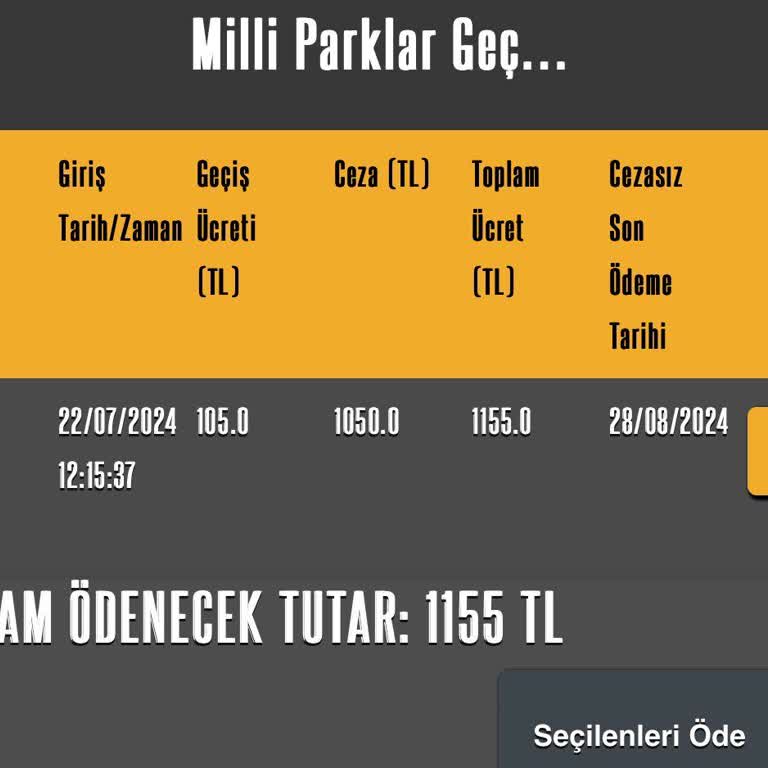 HGS Geçiş Ücreti Sorunu Ve Haksız Ceza