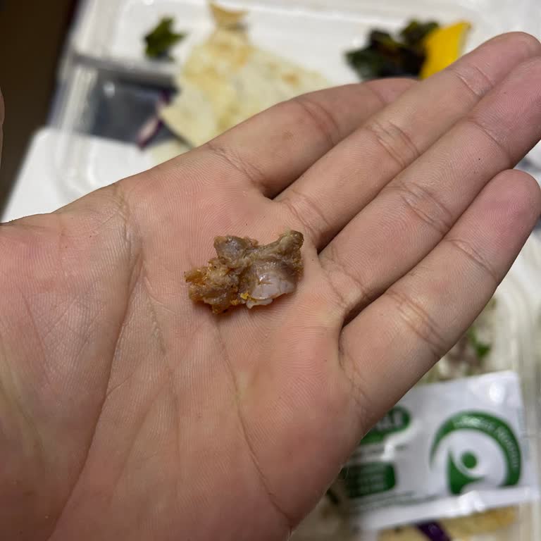 Adana Siparişi Hayal Kırıklığı: Kemik Ve Soğuk Pilav Sorunu