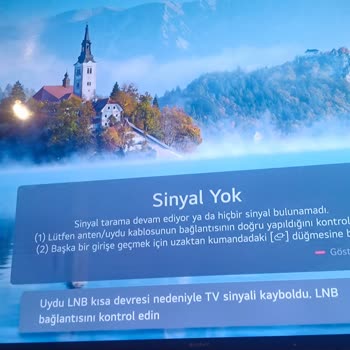 LG Televizyonda Sinyal Sorunu Ve Kronik Problemler
