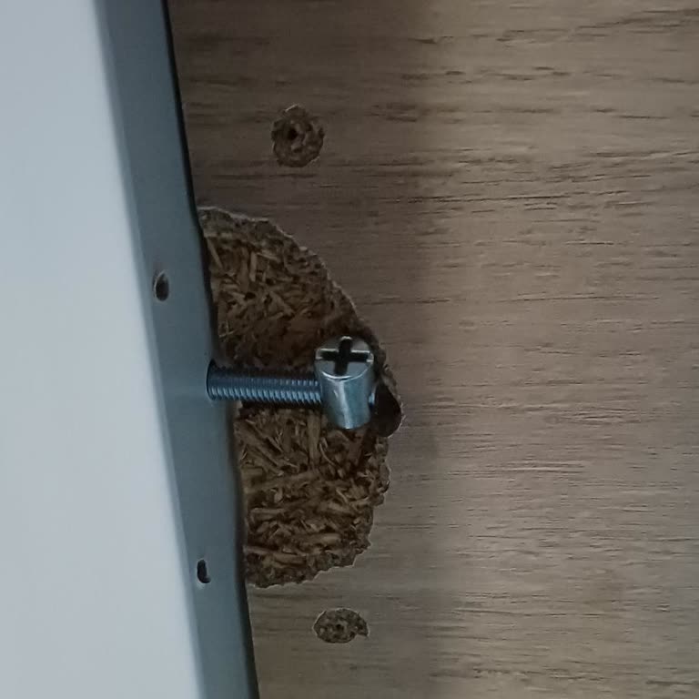 Mobilya Kurulumunda Hayal Kırıklığı