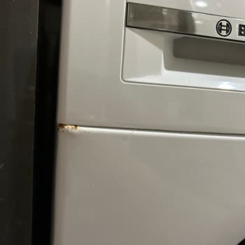Bosch Çamaşır Makinesi: Küflenme Sorunu Ve Memnuniyetsizlik