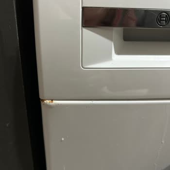 Bosch Çamaşır Makinesi: Küflenme Sorunu Ve Memnuniyetsizlik
