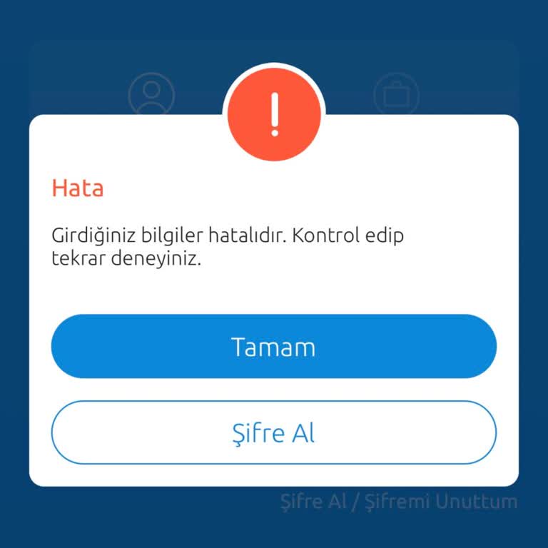 Hesap Erişim Sorunu Ve Çözüm Eksikliği