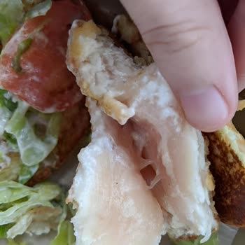 Hijyen Sorunları Ve Eksik Ürünler: Popeyes Uncubozköy Şubesinden Şikayet