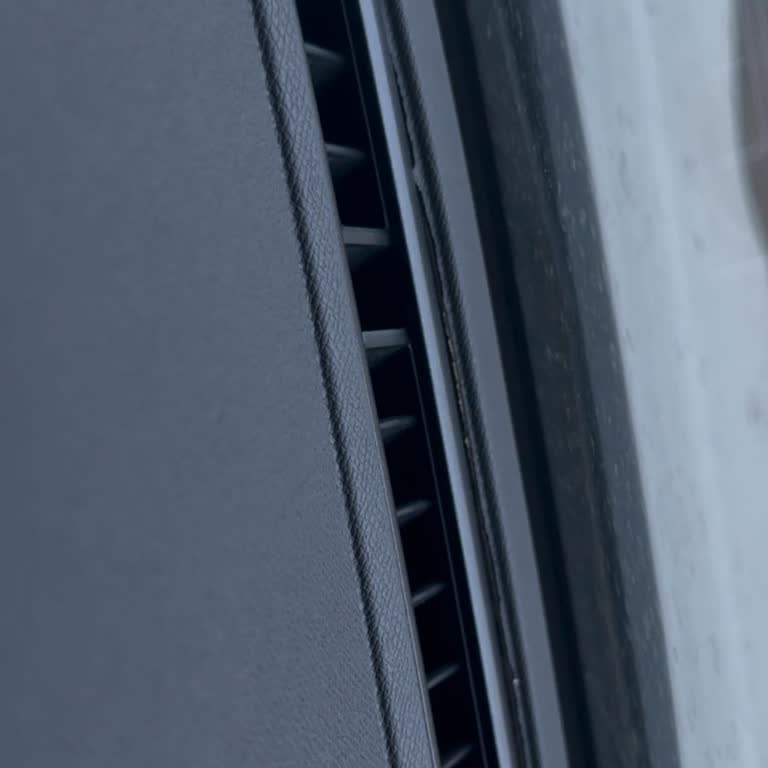 Peugeot 3008: Üretim Hatası Ve Müşteri Mağduriyeti