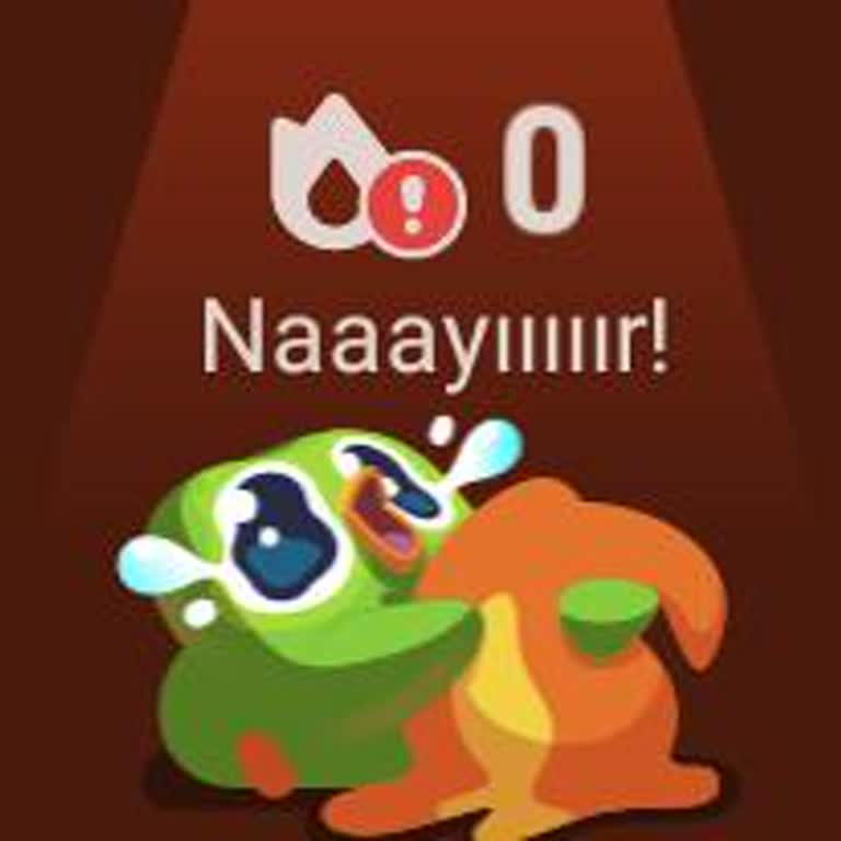 Duolingo Serim Gitti, Yardım Edin!