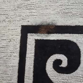 Halı Yıkama Sonrası Pierre Cardin Halımda Kimyasal Yanık