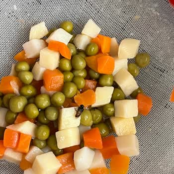 Tat Garnitür Kavanozunda Şok Böcek Keşfi