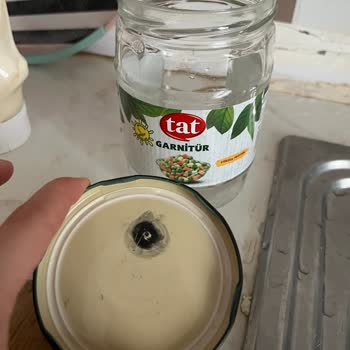 Tat Garnitür Kavanozunda Şok Böcek Keşfi