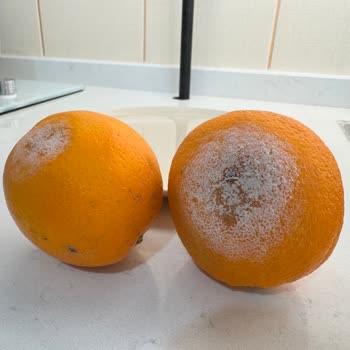 Çürük Portakallar Ve Yanıltıcı İade Süreci