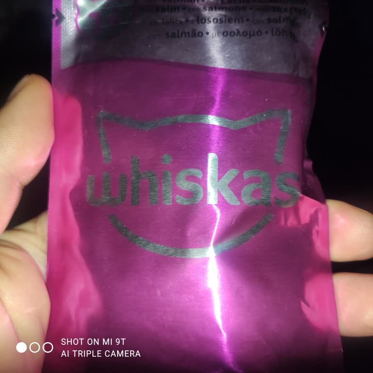 Kedi Maması Kampanyalarındaki Hayal Kırıklığı