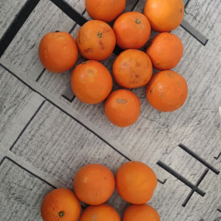 Migros Sanal Market'ten Aldığım Portakalların Çürük Çıkması