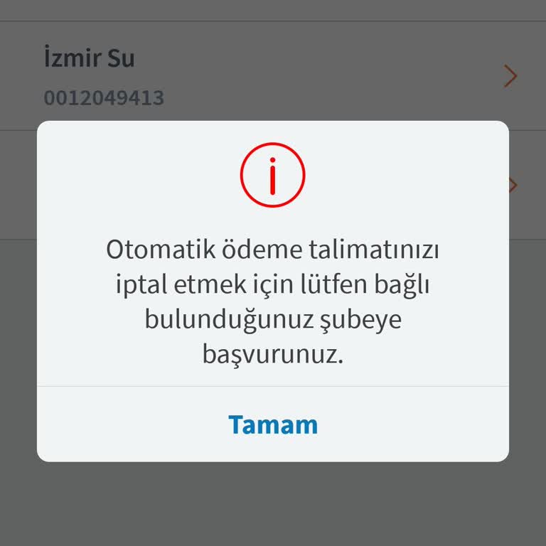 Otomatik Ödeme Talimatı İptalinde Şube Zorunluluğu