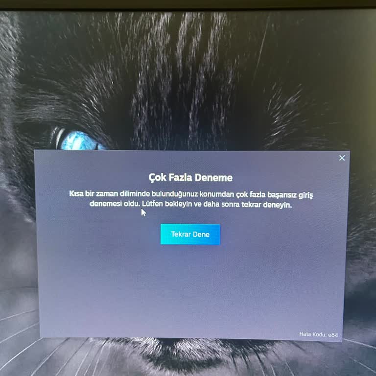 Çözülmeyen Hata Ve Ulaşılamayan Destek