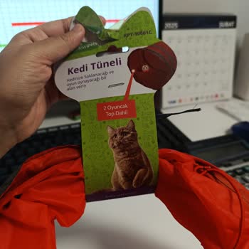 Kedi Tüneli Boyut Sorunu
