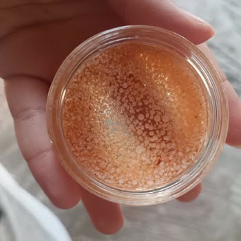 Bakteri Üreten Kaş Sabitleyici