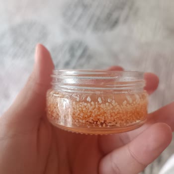 Bakteri Üreten Kaş Sabitleyici