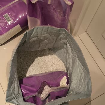 Delik Paketlerle Gelen Kedi Kumu Kabusu