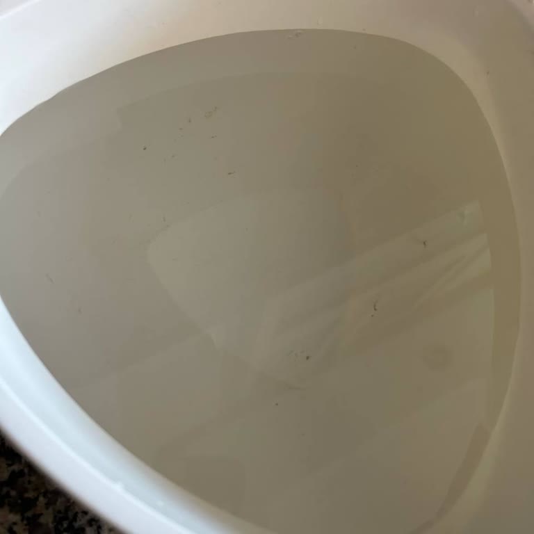 Filtre Değişiminde Siyahlaşan Su Ve Tortu Sorunu