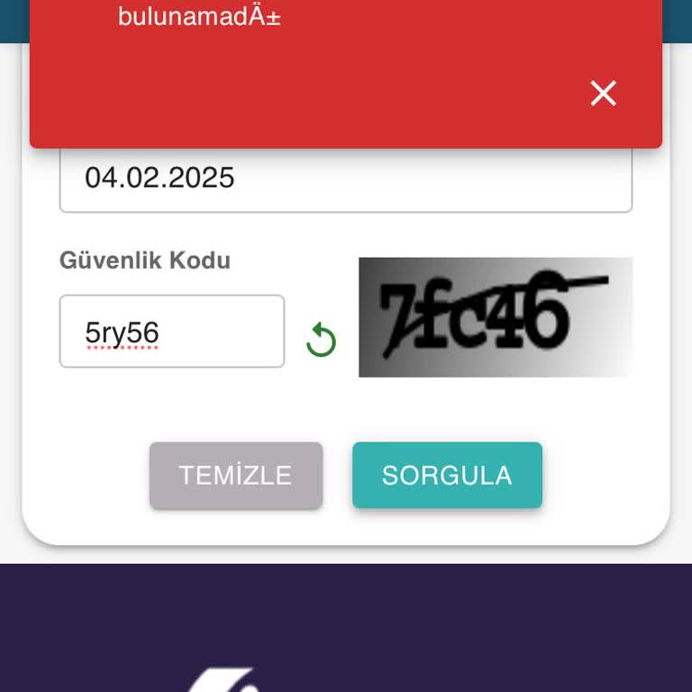 Trafik Cezası Ödeme Sistemi Çilesi