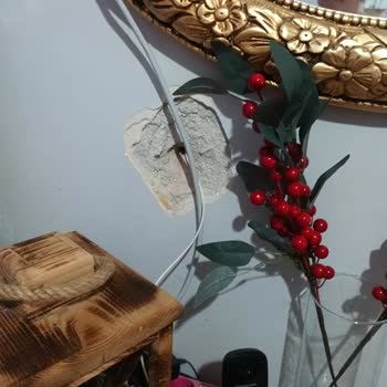 TTNET'in Evdeki Tahribatı Ve Müşteri Hizmetleri İlgisizliği