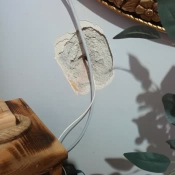 TTNET'in Evdeki Tahribatı Ve Müşteri Hizmetleri İlgisizliği