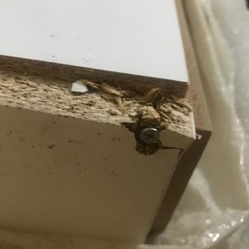 Kırık Ve Çatlak Ürün, İlgisiz Müşteri Hizmetleri