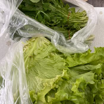 Carrefour'da Fiyat Güncelleme Sorunu Ve Yanlış Fiş Verilmesi