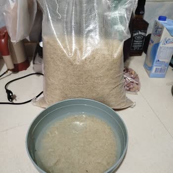 Pirincin İçinden Çıkan Canlı Böcekler