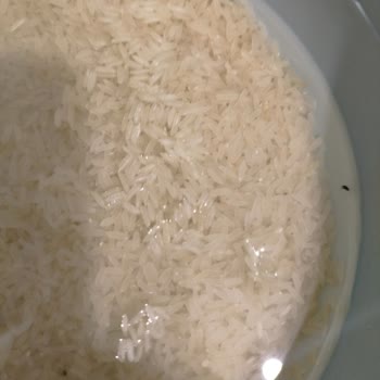 Pirincin İçinden Çıkan Canlı Böcekler