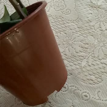Yanıltıcı Ürün Ve İlgisiz Müşteri Hizmetleri