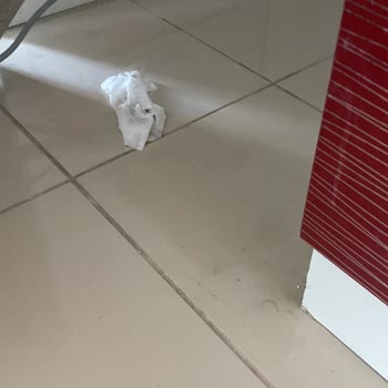 Burcu Temizlik (Aydın) Yapılan İşten Memnun Kalmadım!