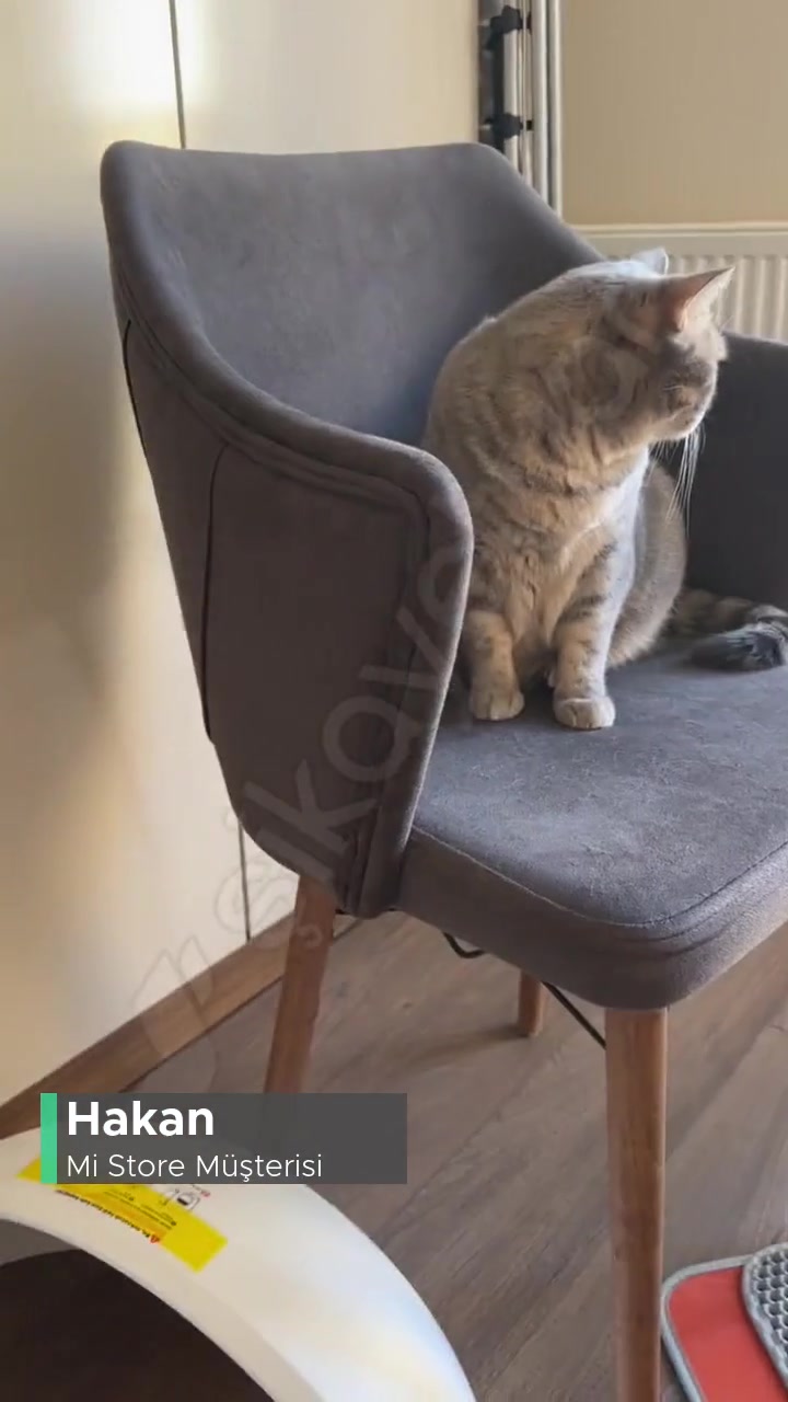 Mi Store Pet Kit Pro Smart 2 Kedi Tuvaleti Sorunu! videonun kapak resmi
