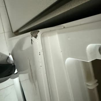 Yeni Alınan Çamaşır Makinesinde Boya Problemi