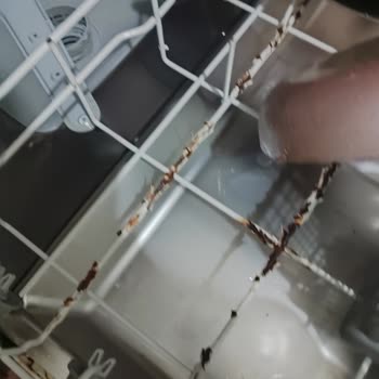 Arçelik Bulaşık Makinesi Tellerinde Küflenme Ve Boya Sorunu