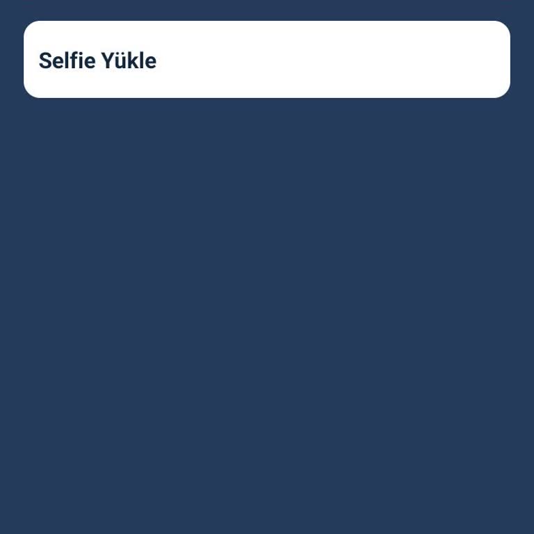 Hesap Yükseltme Sorunları: Selfie Onayı Engeli
