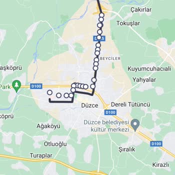 Düzce Belediyesi Yeşil Otobüslerin Zamanlama Sorunu