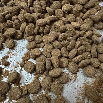 Kalitesiz Mama Ve İlgisiz Müşteri Hizmetleri