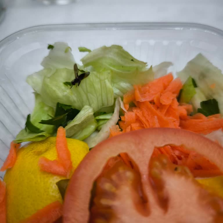 Hijyen Sorunu Ve Müşteri Hizmetleri Şoku