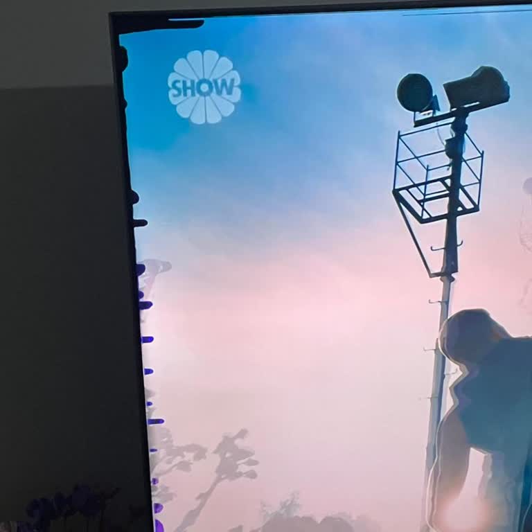 Sigorta Mağduriyeti: Televizyonum Çöp Oldu!