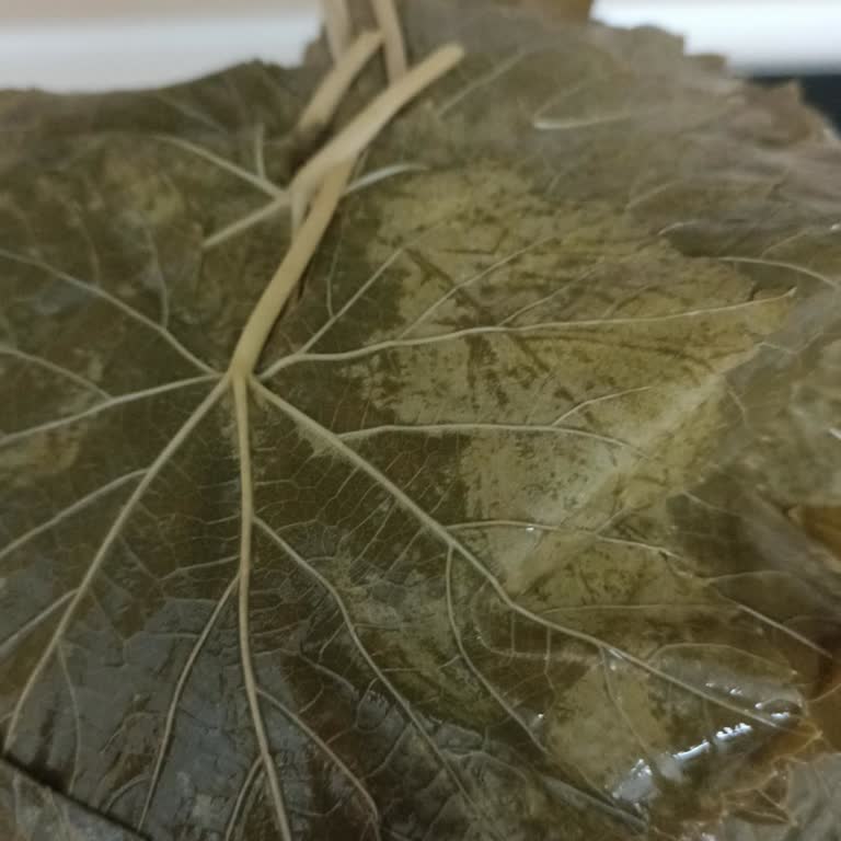 Ürün Kalitesi Ve Müşteri Hizmetleri Hayal Kırıklığı