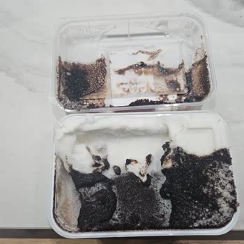 Algida Dondurma Kalitesi Hayal Kırıklığı Yarattı