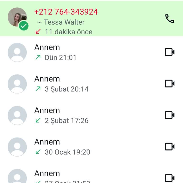 Bilinmeyen Numaradan WhatsApp Üzerinden Sesli Arama