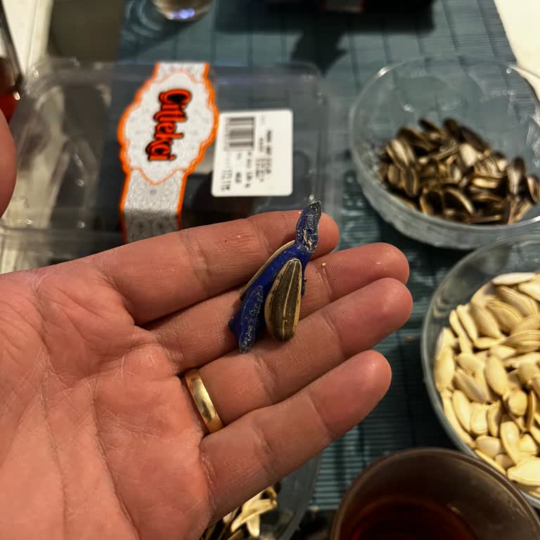 Çitlekçi Çekirdekte Plastik Tehlikesi