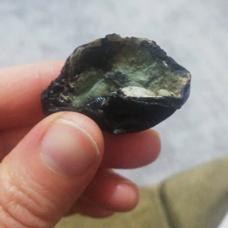 Çitlekçi'den Aldığımız Ürünlerin Kalitesi Hayal Kırıklığı Yarattı