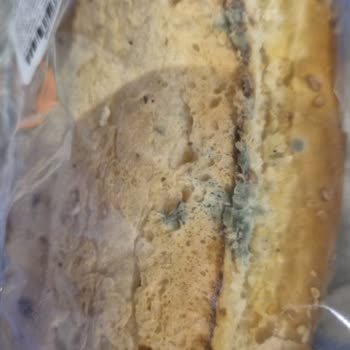 Küflü Sandviç Ve Ulaşılamayan Müşteri Hizmetleri Krizi