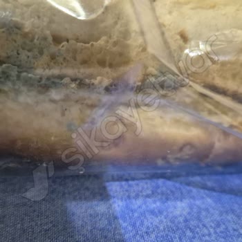 Migros'tan Küflü Ürün Ve Yetersiz Müşteri Hizmetleri