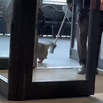 Starbucks Avcılar Şubesinde Vicdansız Davranışlar