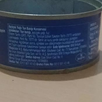 Markette Satılan Ton Balığında Kılçık Sorunu